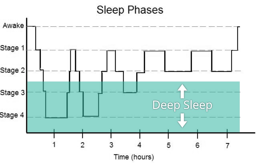 Sleep Science